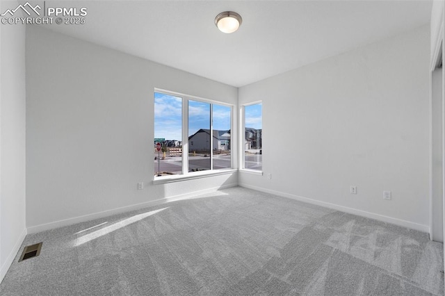 spare room with carpet floors