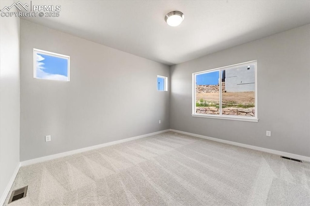 spare room featuring carpet flooring