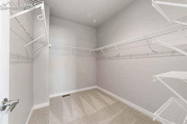 spacious closet with carpet floors