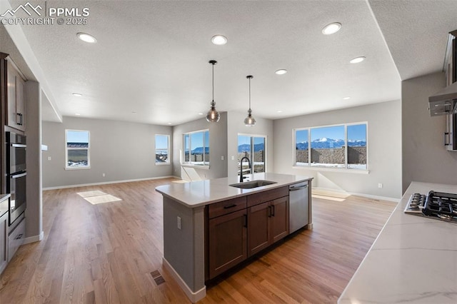 kitchen with pendant lighting, sink, light hardwood / wood-style flooring, an island with sink, and stainless steel appliances