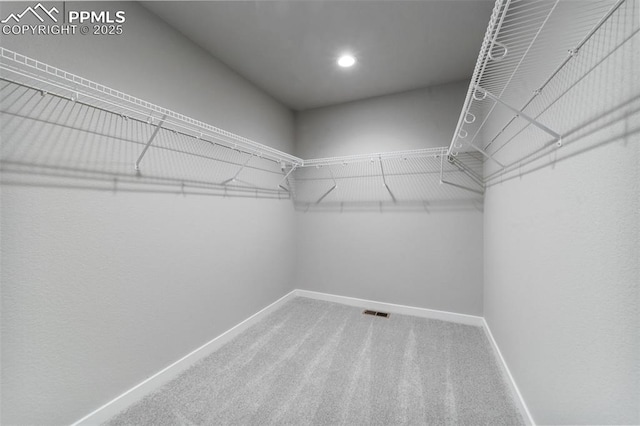 walk in closet featuring carpet flooring