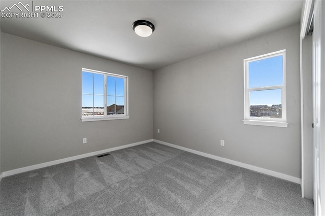 carpeted empty room with a wealth of natural light