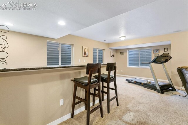 interior space featuring carpet flooring