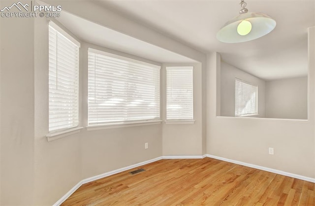 spare room with plenty of natural light and wood-type flooring