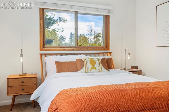 view of carpeted bedroom