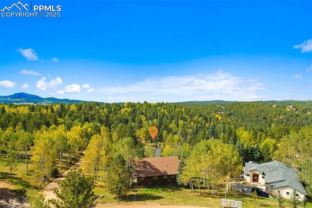 aerial view with a mountain view