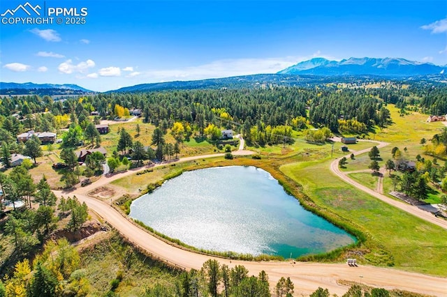 birds eye view of property featuring a water and mountain view