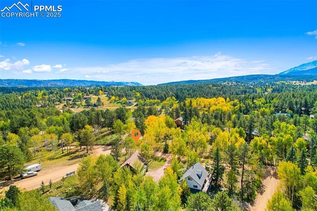 birds eye view of property with a mountain view