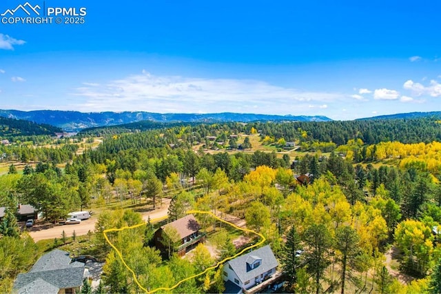 birds eye view of property featuring a mountain view