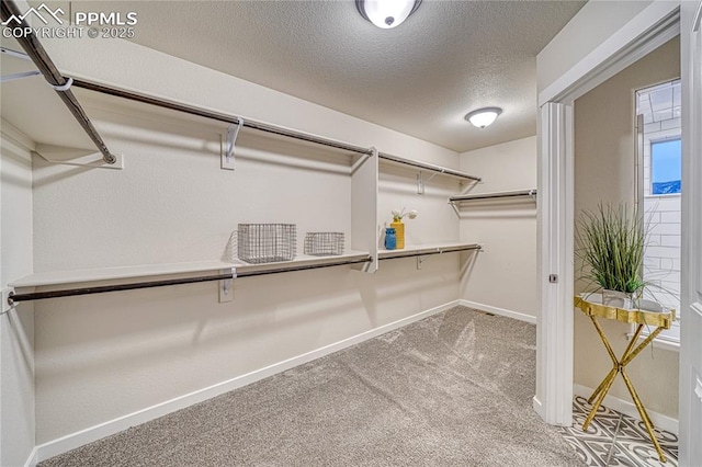 walk in closet with carpet flooring