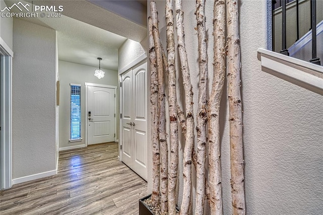 foyer entrance featuring hardwood / wood-style floors