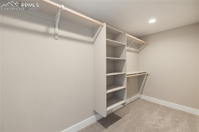 spacious closet featuring carpet floors