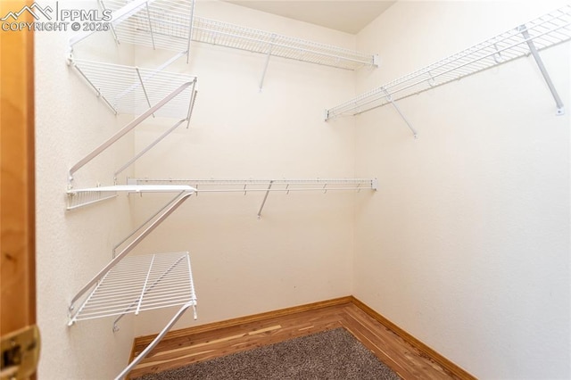 walk in closet featuring hardwood / wood-style floors