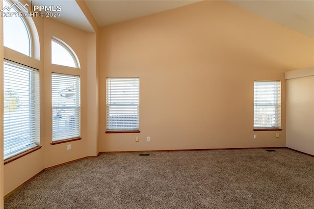 empty room featuring high vaulted ceiling and carpet