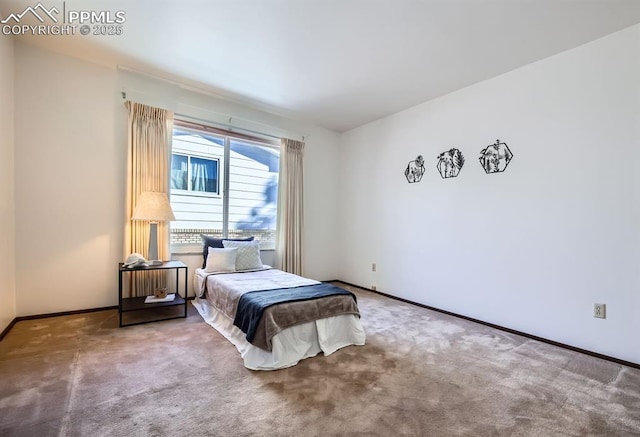 bedroom with carpet floors