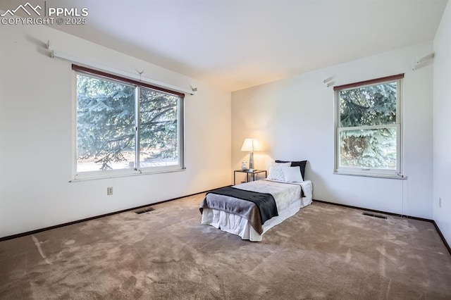 bedroom featuring carpet flooring