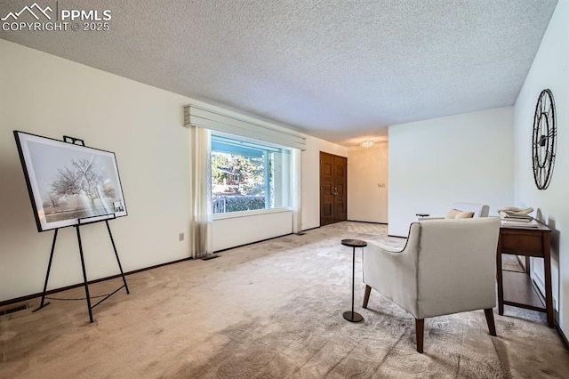 living area featuring a textured ceiling and light colored carpet