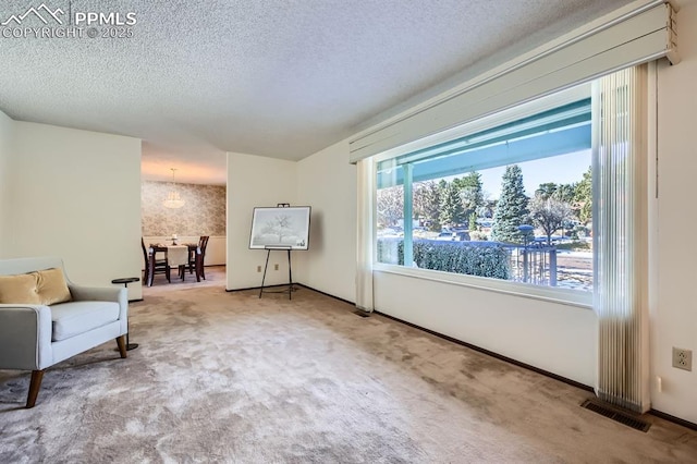 unfurnished room featuring a textured ceiling and carpet floors