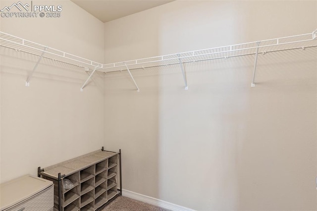 spacious closet with carpet floors