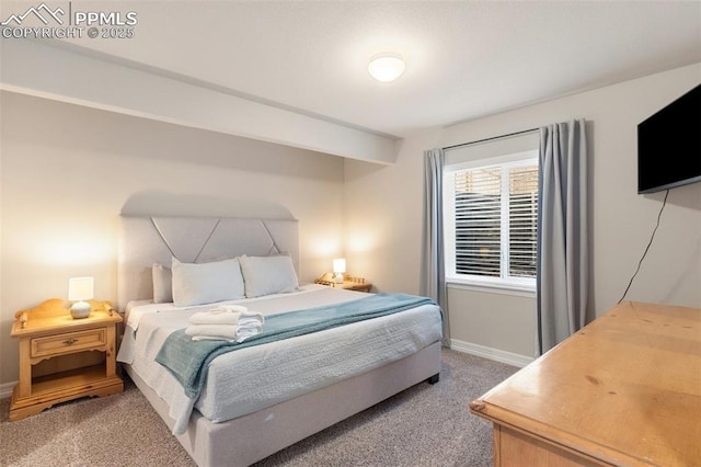 bedroom featuring carpet