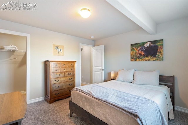 bedroom featuring carpet, beam ceiling, a spacious closet, and a closet