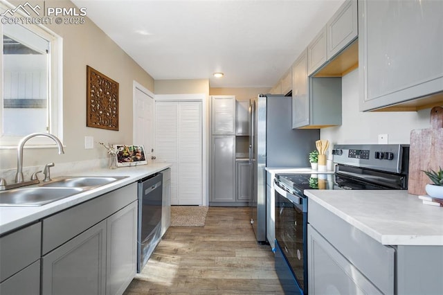 kitchen featuring stainless steel appliances, sink, light hardwood / wood-style flooring, and gray cabinetry