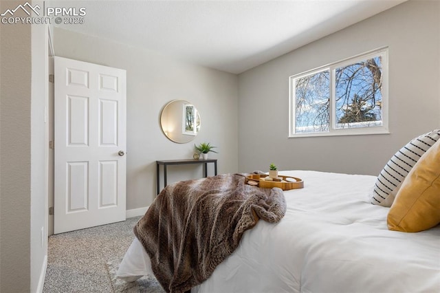 bedroom with light carpet