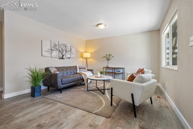 living room with hardwood / wood-style flooring