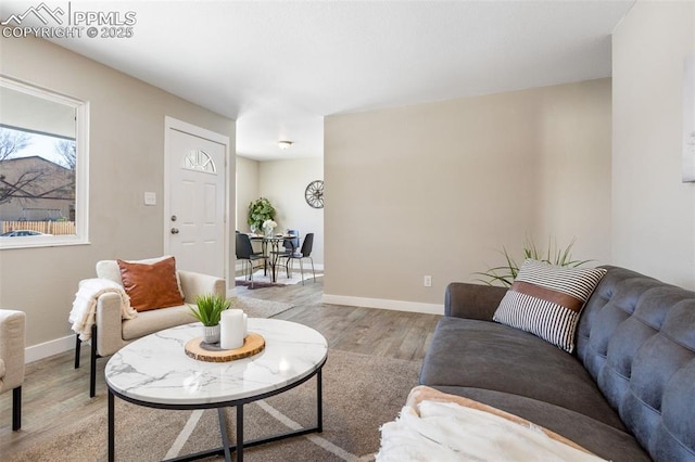 living room featuring light hardwood / wood-style floors