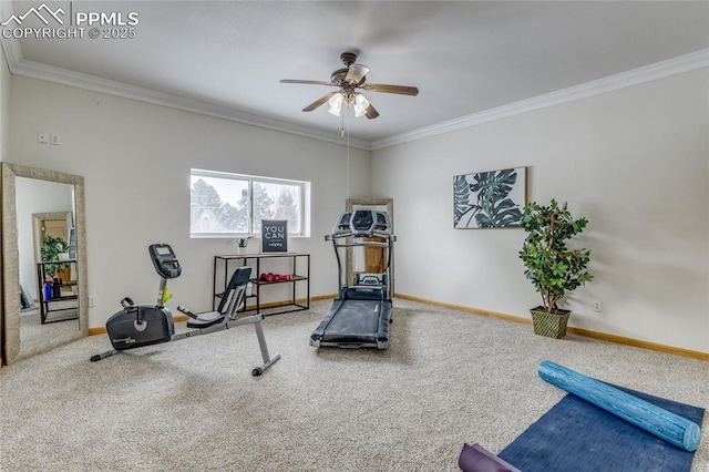 exercise room featuring ceiling fan, carpet flooring, and ornamental molding