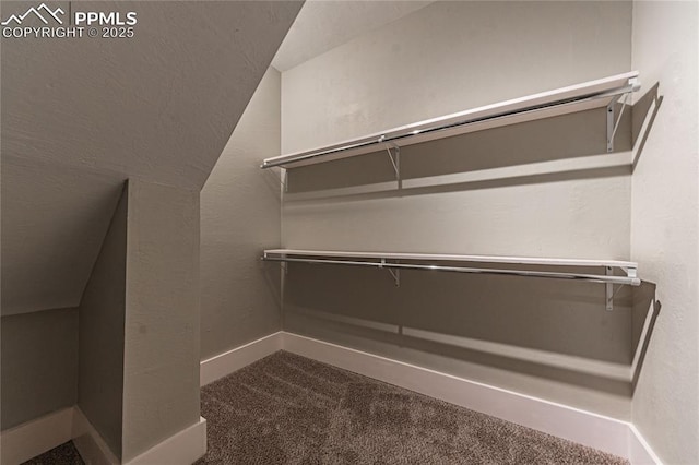 spacious closet featuring carpet and lofted ceiling