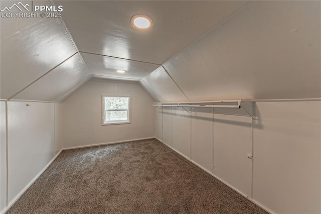 additional living space featuring carpet and vaulted ceiling