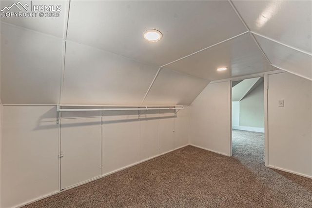 walk in closet with carpet floors and vaulted ceiling