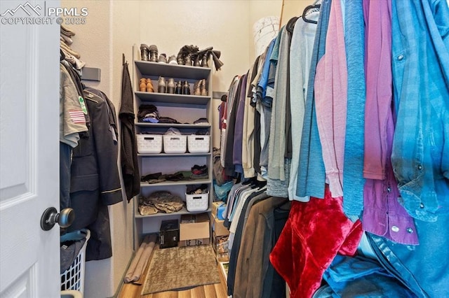 spacious closet with hardwood / wood-style floors