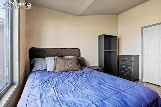 bedroom featuring hardwood / wood-style floors