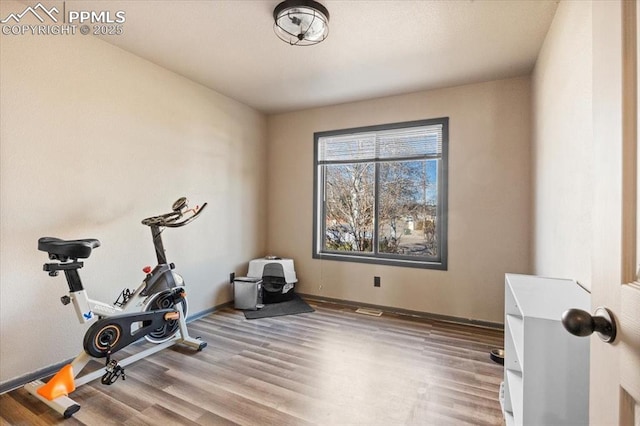 workout area featuring hardwood / wood-style floors