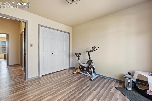 exercise room featuring light hardwood / wood-style floors