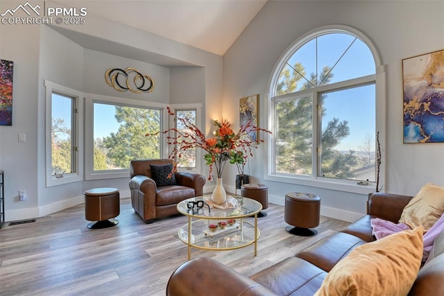 living room featuring a wealth of natural light, high vaulted ceiling, and light wood-type flooring