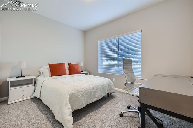 bedroom with light colored carpet