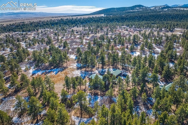 drone / aerial view with a mountain view