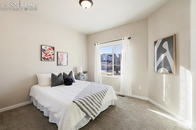 bedroom with carpet flooring