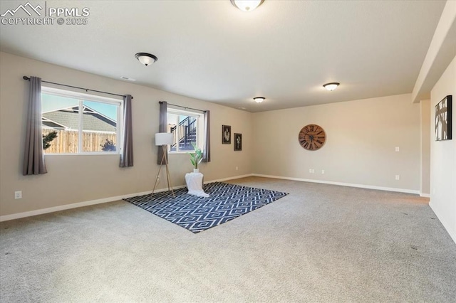 workout room featuring carpet