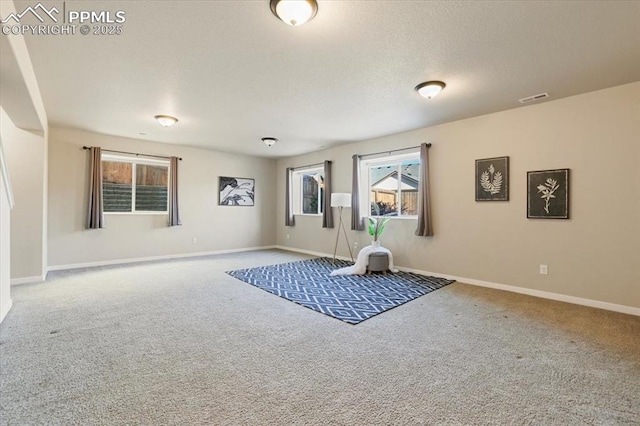 exercise room featuring carpet flooring