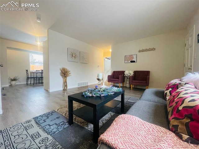 living room featuring wood-type flooring