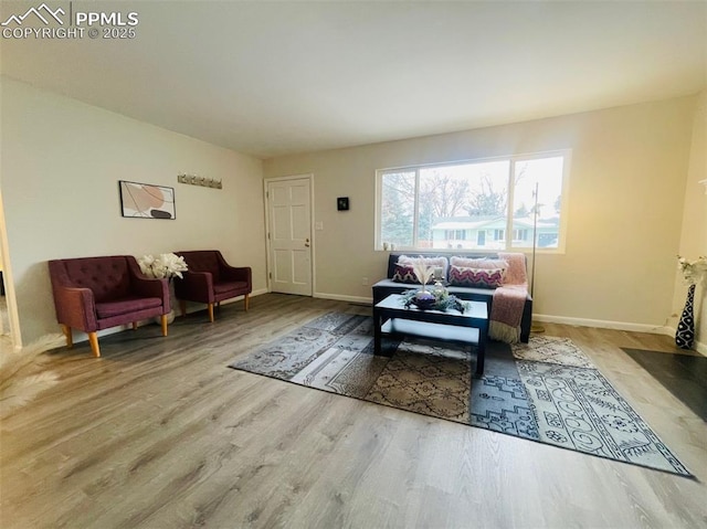 living room with light hardwood / wood-style floors