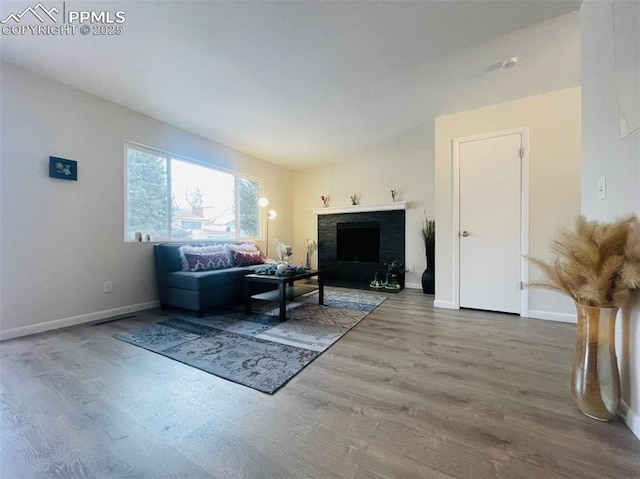 living room featuring a fireplace and wood-type flooring