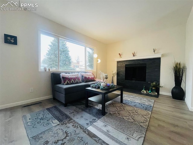 living room with hardwood / wood-style floors