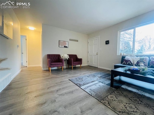 sitting room with wood-type flooring