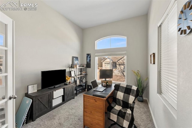 home office with carpet flooring