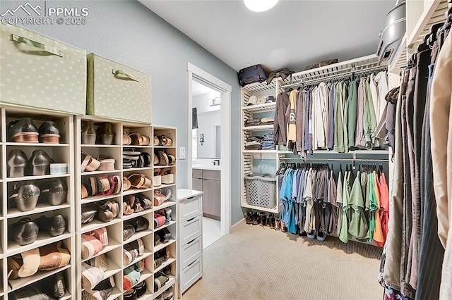 walk in closet featuring light colored carpet